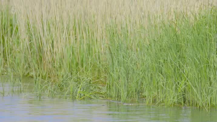 [Image: qzj9o8yvc7c1.jpg]