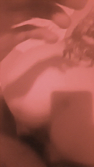 b94ae93fc983cd5b55ba27d918ee3b15-1759646581-6881