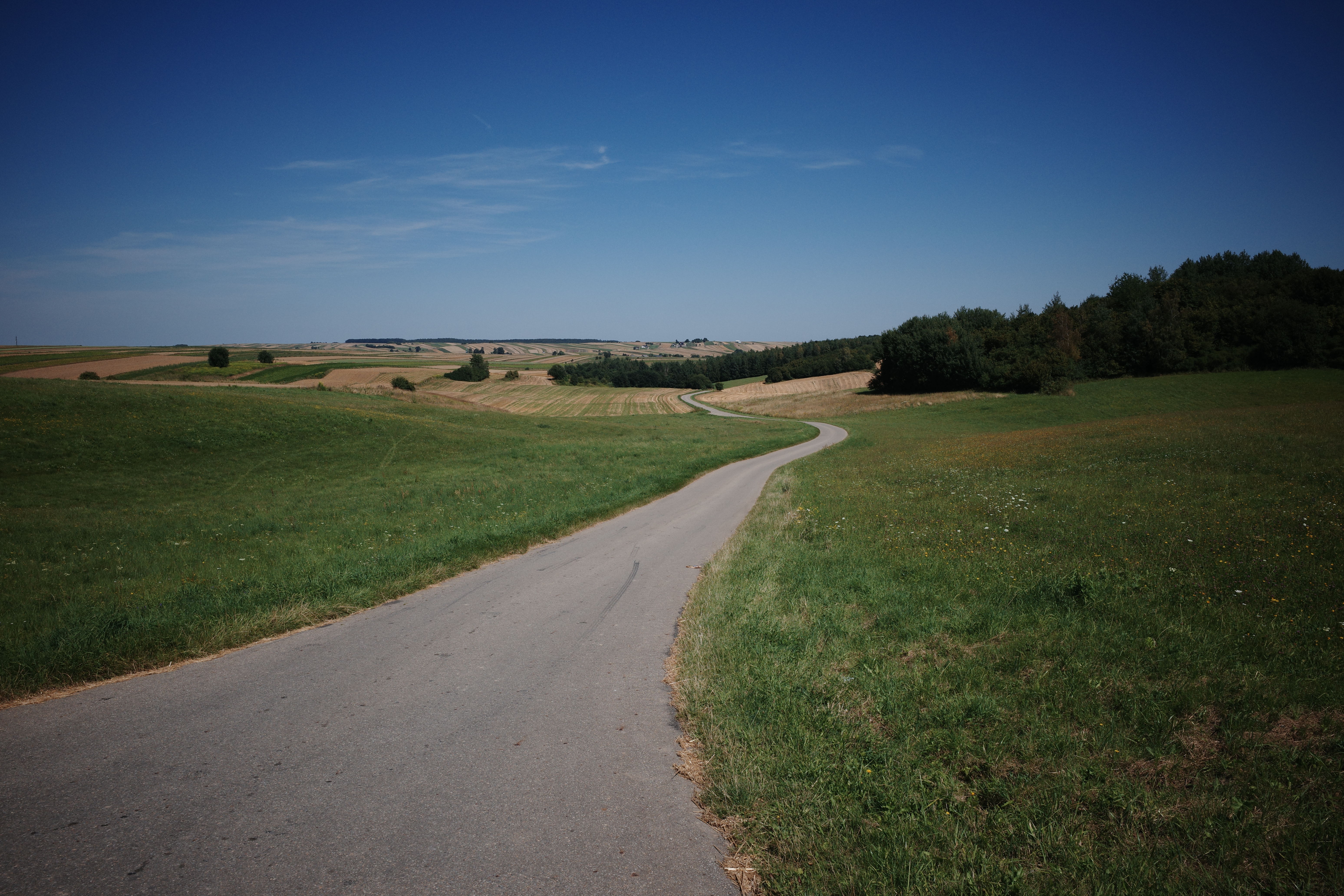 R0000259.jpg