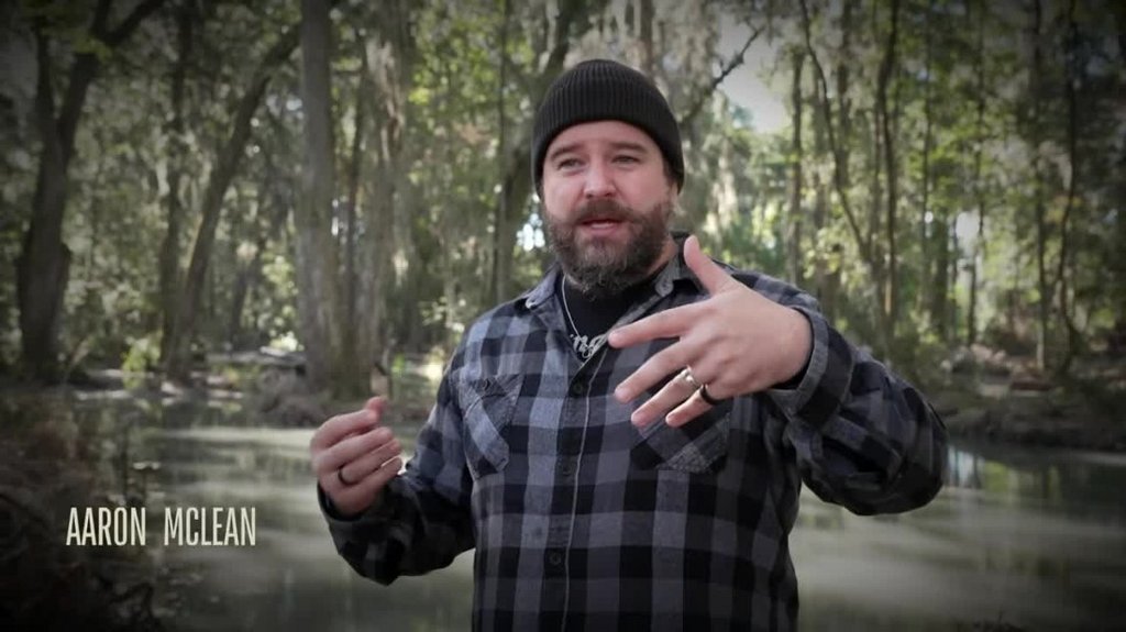 [Image: zqp8x7g16olc.jpg]