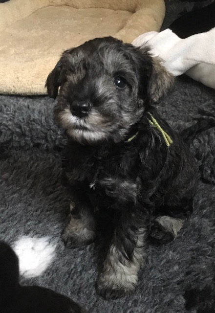 4874B56C-B067-492E-BC29-A0741FE61131