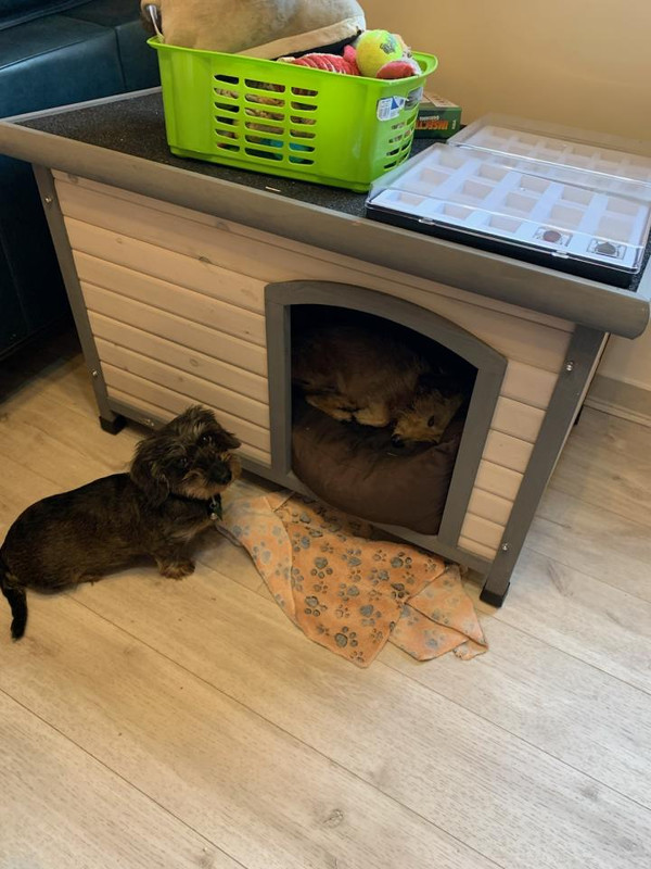 [Image: IMG-2033.jpg]