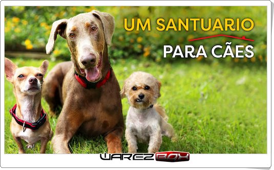 Um-Snt-PC-s-capa.jpg
