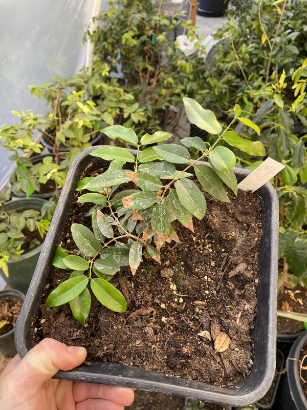 90153029-770E-45B0-BC54-0ED77DEF6C20