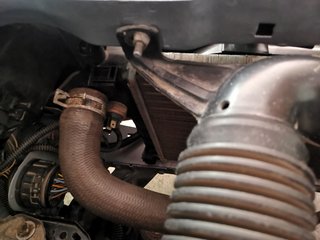 IMG_20210321_164855