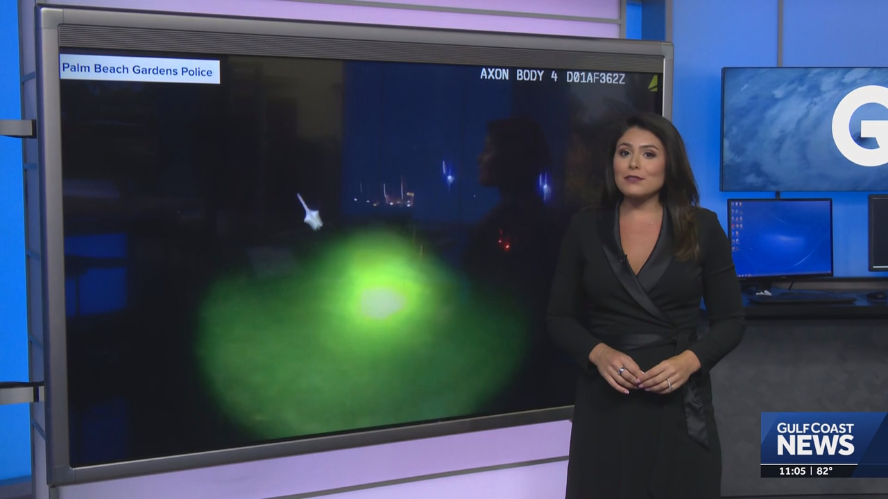 Gulf Coast News at 11pm on NBC_20250802_04000434.ts_snapshot_07.25.980