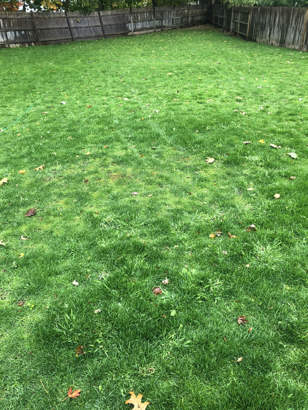 C2074101-FE3A-43CB-8D2E-590FCC576EE0