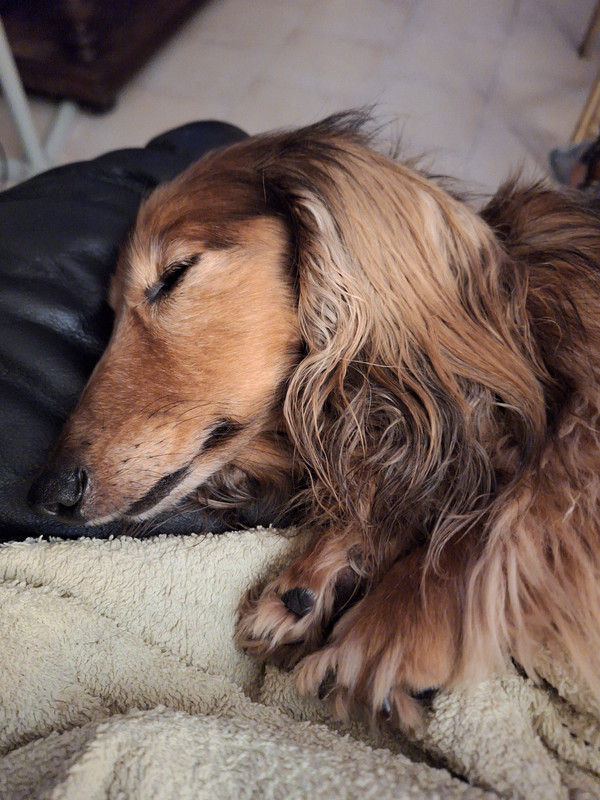 [Image: 20230822-144749.jpg]