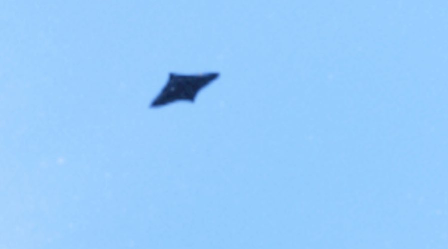 IMG-3992.jpg