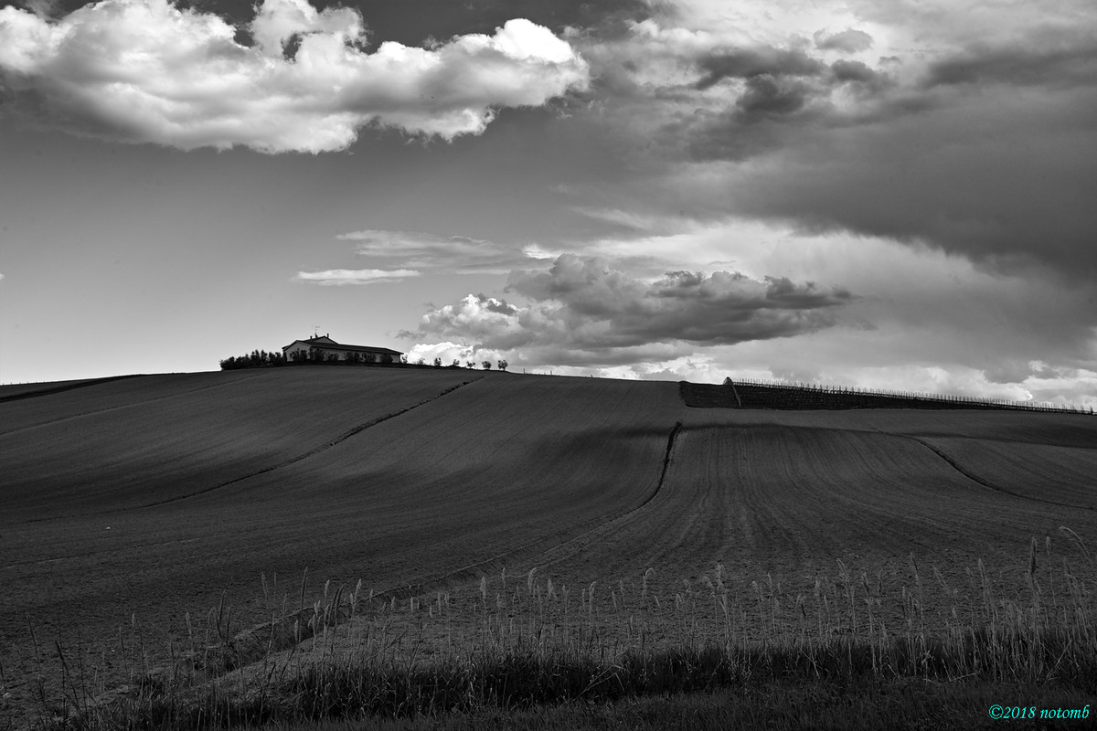 BN web