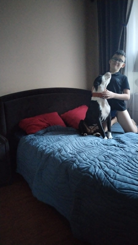 C84A96DB-55D8-46F8-AA12-944FF438C2C5