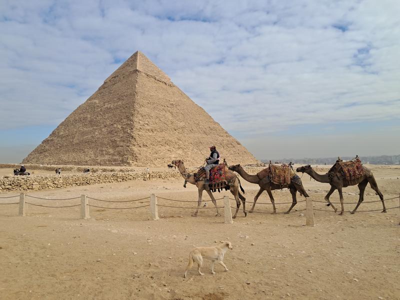 Pirámides de Guiza, GEM y noche cairota - Al fin, Egipto. (7)