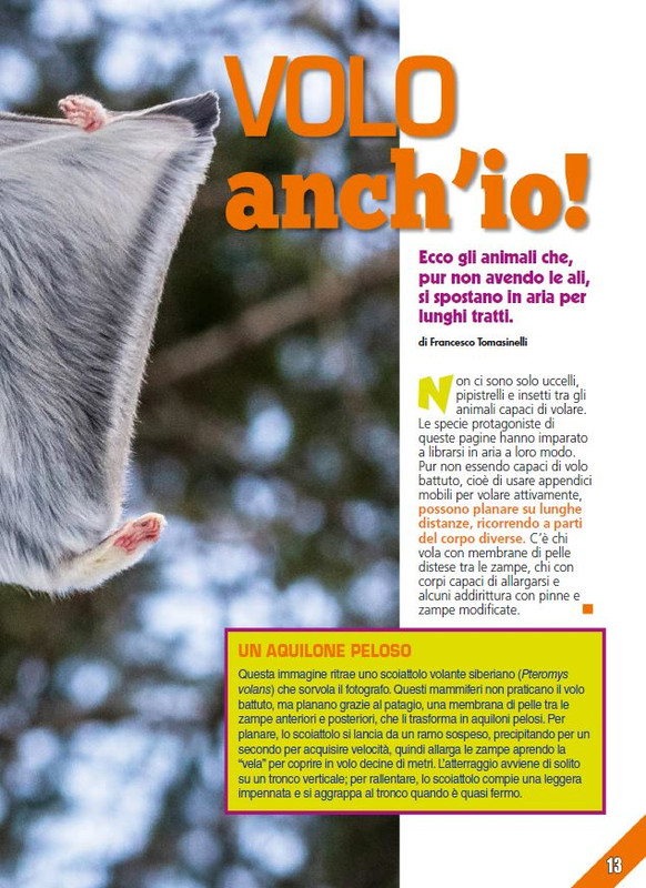 Foc Wil - Mar 2024 (2)