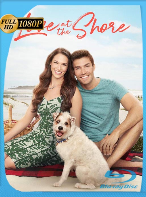 Amor En Tierra (2017) WEB-DL HD 1080p Latino [GoogleDrive]