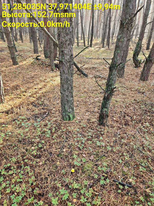 Time Photo 20251023 115626