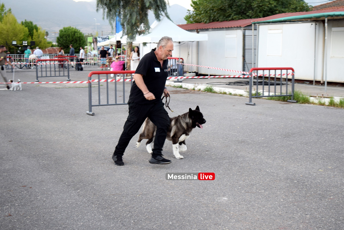 παρκο σκυλιαDSC_0952