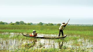 Thơ họa Nguyễn Thành Sáng & Tam Muội (887) Cheo-xuong-ba-la