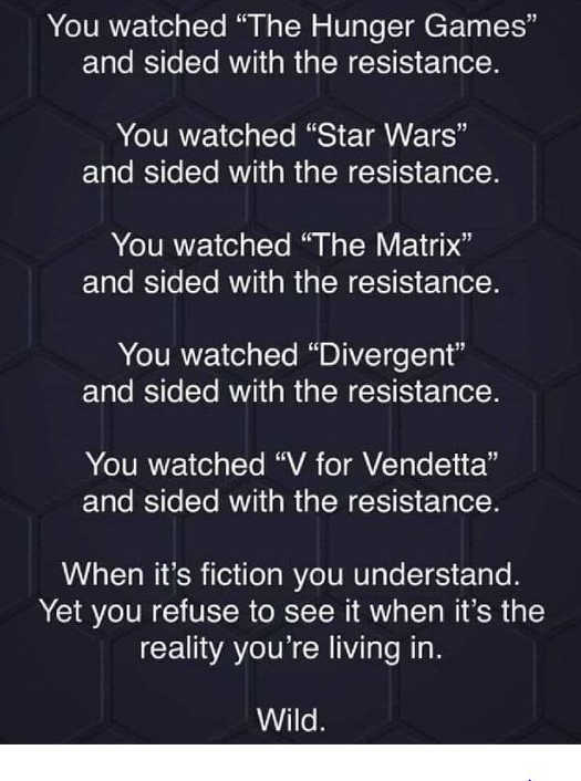 message-hunger-games-star-wars-matrix-v-vendetta-resistance.jpg