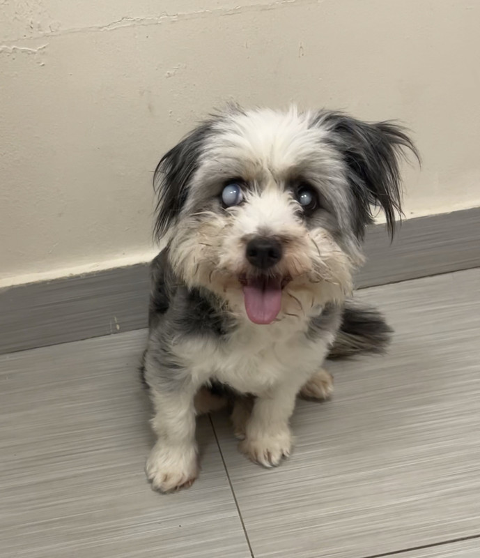 49653EB5-6AA9-46B8-A4C1-D7BEE4037044