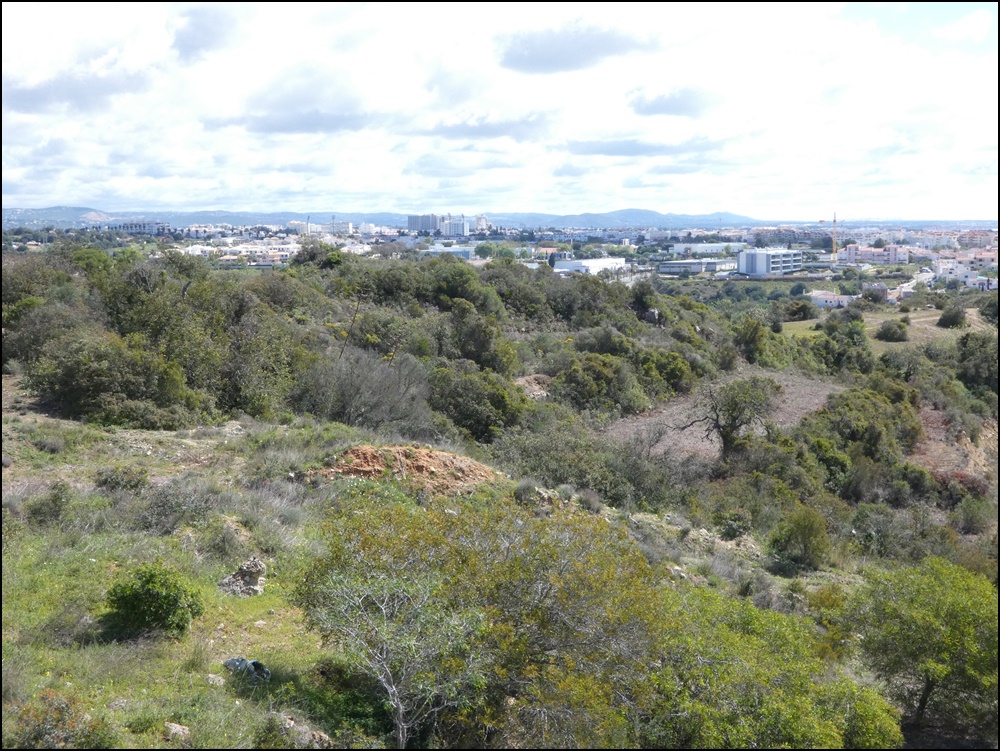 Albufeira-Oceanville-Viewfrom-020420 (8)