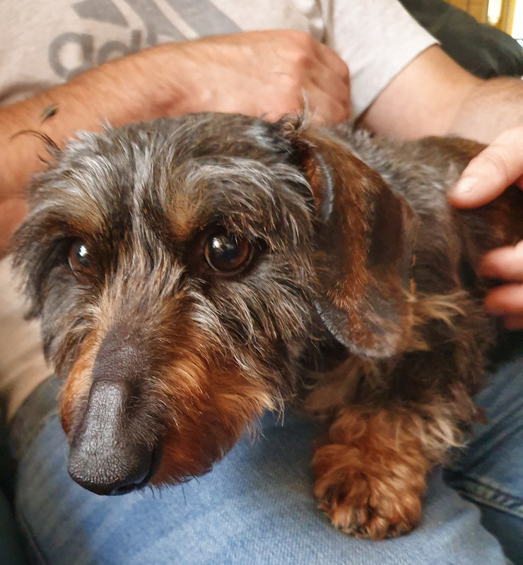 [Image: 20220605-180605.jpg]