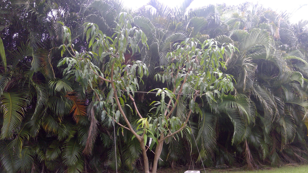 WIN_20190801_15_27_51_Pro