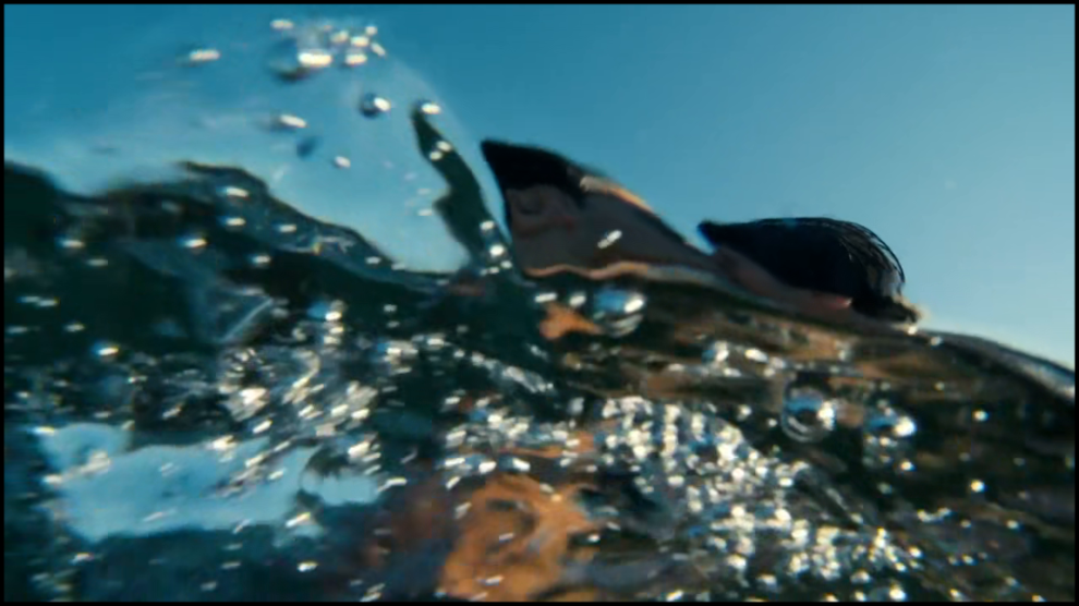 [Image: r98wez4agum1.png]