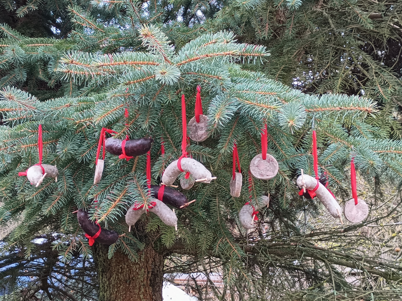 IMG 20251214 092804632(1)