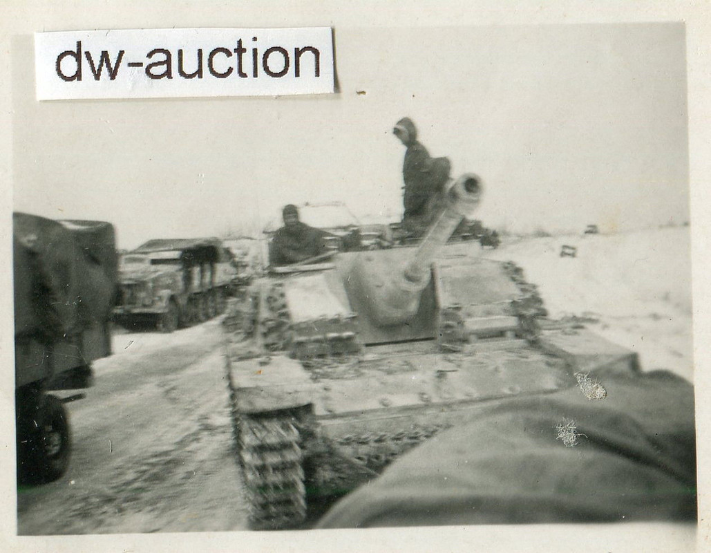 Sturmgeschütz Langrohr in Wintertarn , Stug. Abt