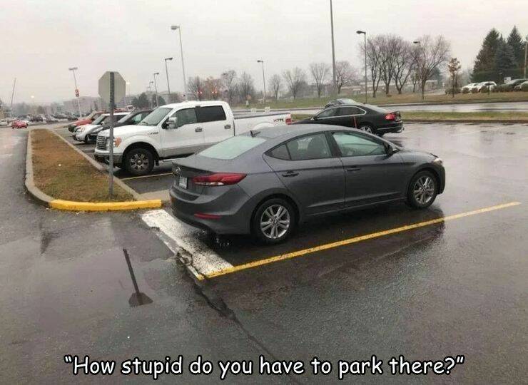daily-picdump-19-9.jpg