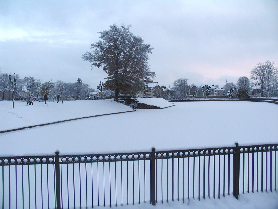 Ноябрь2023 085а