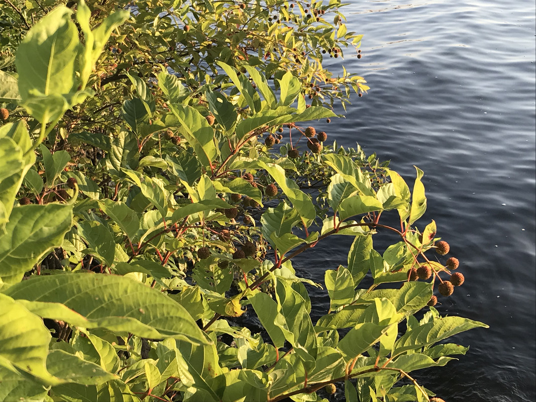 10A8353B-DB6A-4ADA-9596-30A88D914744