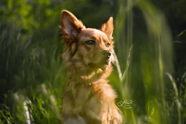 A0E183C4-1D98-4BD6-8E8B-F2E9427B8342