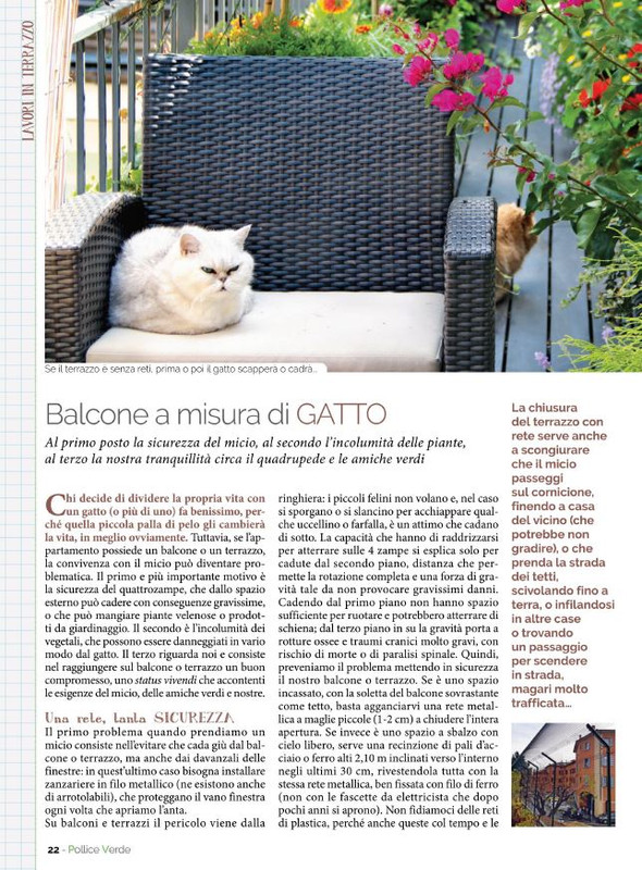 Pol Ver Set 2022 (1)