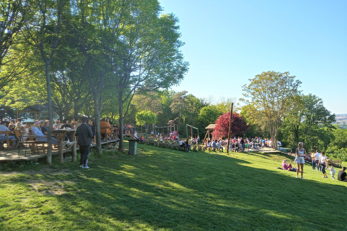 20210509_165946_HDR(1)