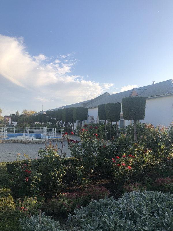 9EE87D23-DF03-414A-951F-64D5B2867CE1