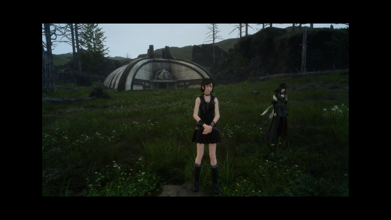 another iris + gentiana yay!!