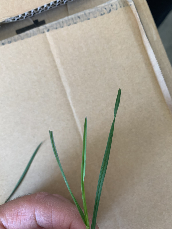 20C6C3AF-2B4A-44E7-9CD2-1FDDC4AFB1F8