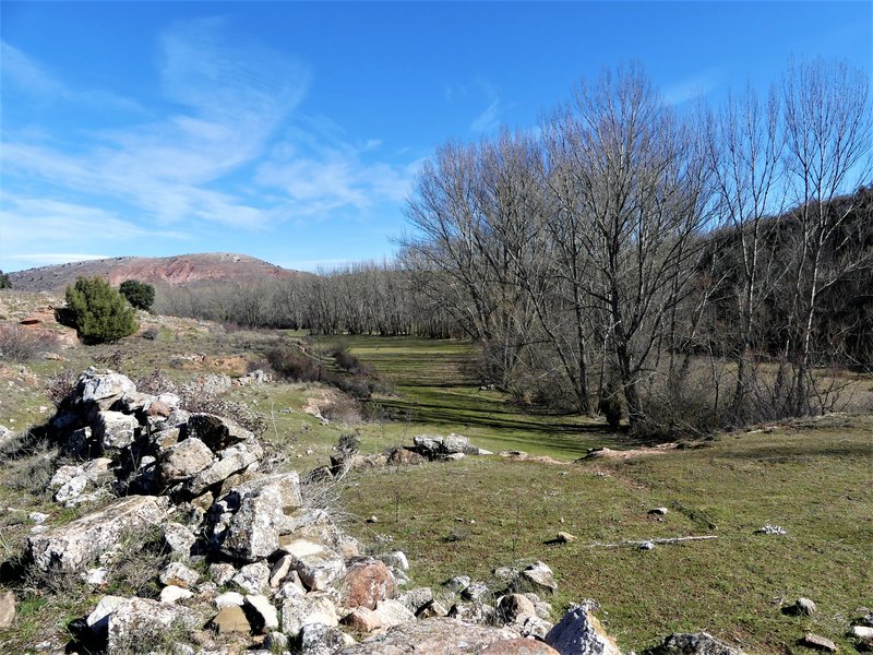 YACIMIENTO ARQUEOLOGICO DE TIERMES-16-2-2020 - Soria y sus pueblos-2010/2013/2020 (114)