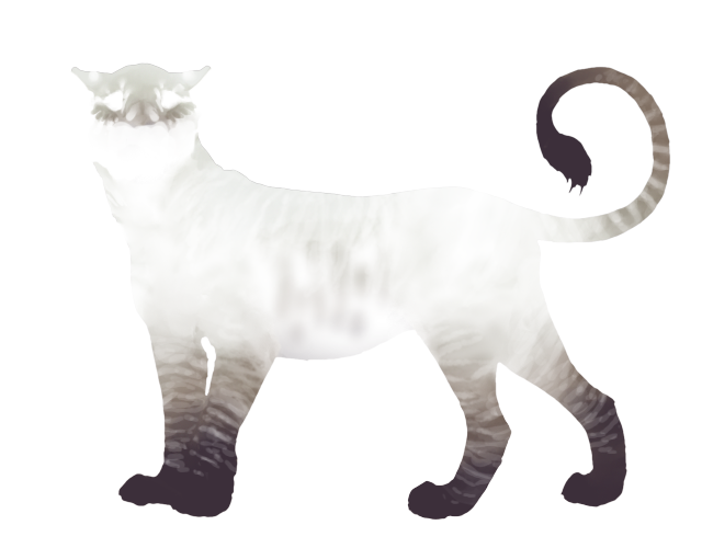 Feline3-Haze.png