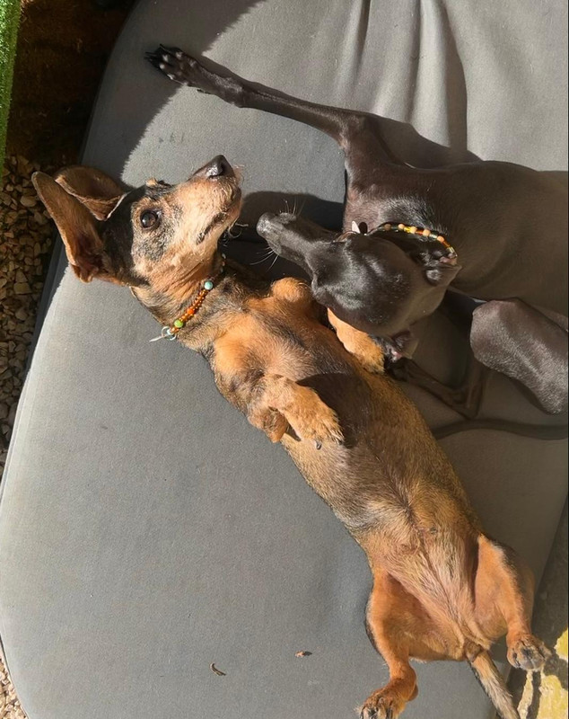 [Image: IMG-20251003-WA0011.jpg]