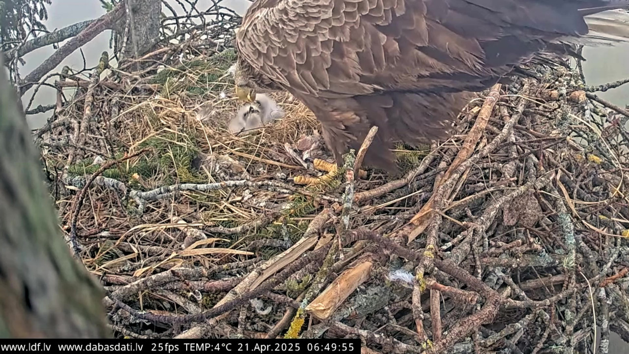 vlcsnap-2025-04-21-07h36m40s805