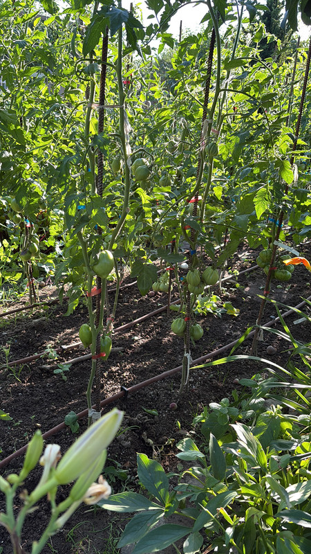 6AA09C87-41A0-4CF9-98CE-849FA660F751