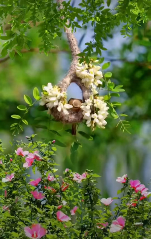 Screenshot_20240324_214639_Pinterest