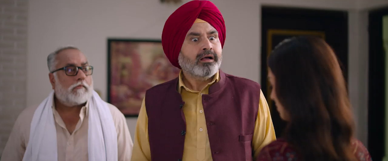 Mr & Mrs 420 Again 2025 WebRip [Punjabi] 480p 720p ESub Screenshot