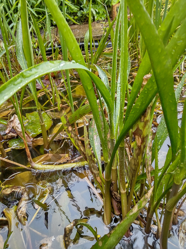 IMG_20240501_100344067_HDR