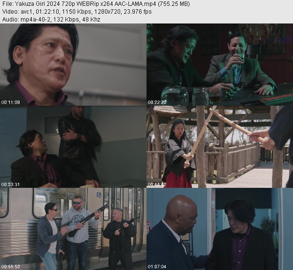 Yakuza Girl (2024) 720p WEBRip-LAMA