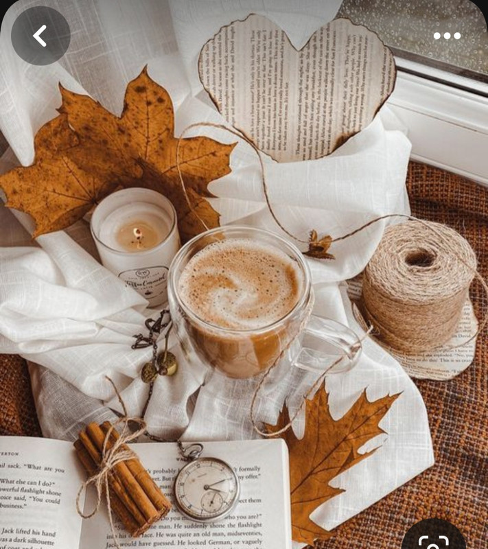 Screenshot_20230905_015640_Pinterest