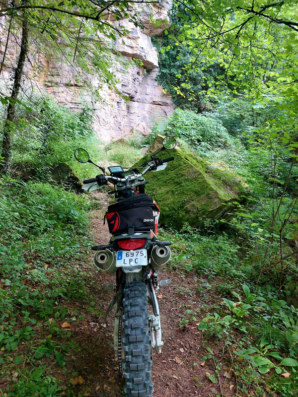 WhatsApp Image 2021-07-07 at 22.02.49 (1)