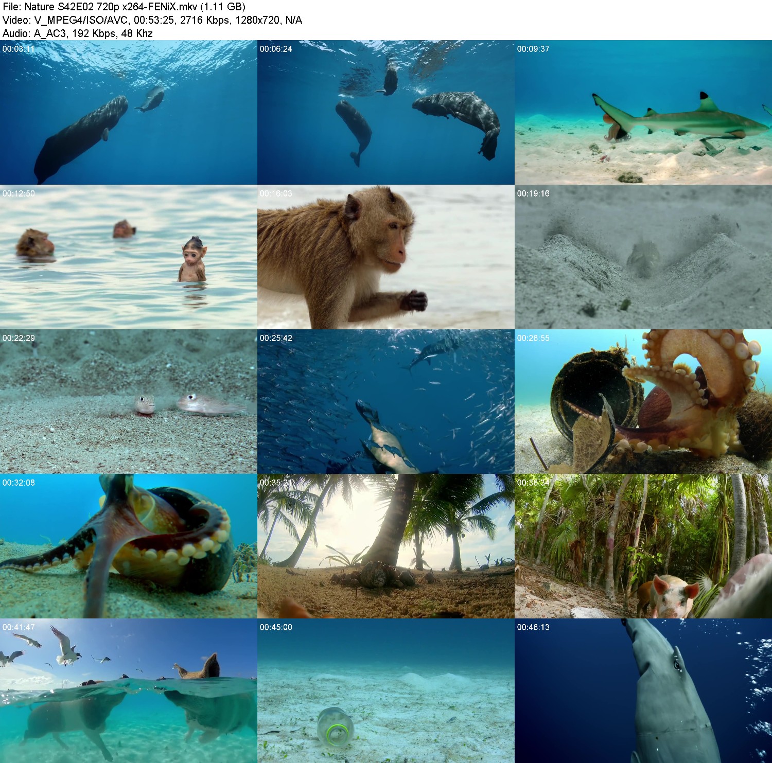 [Image: 3z1pc9ndi0dj.jpg]